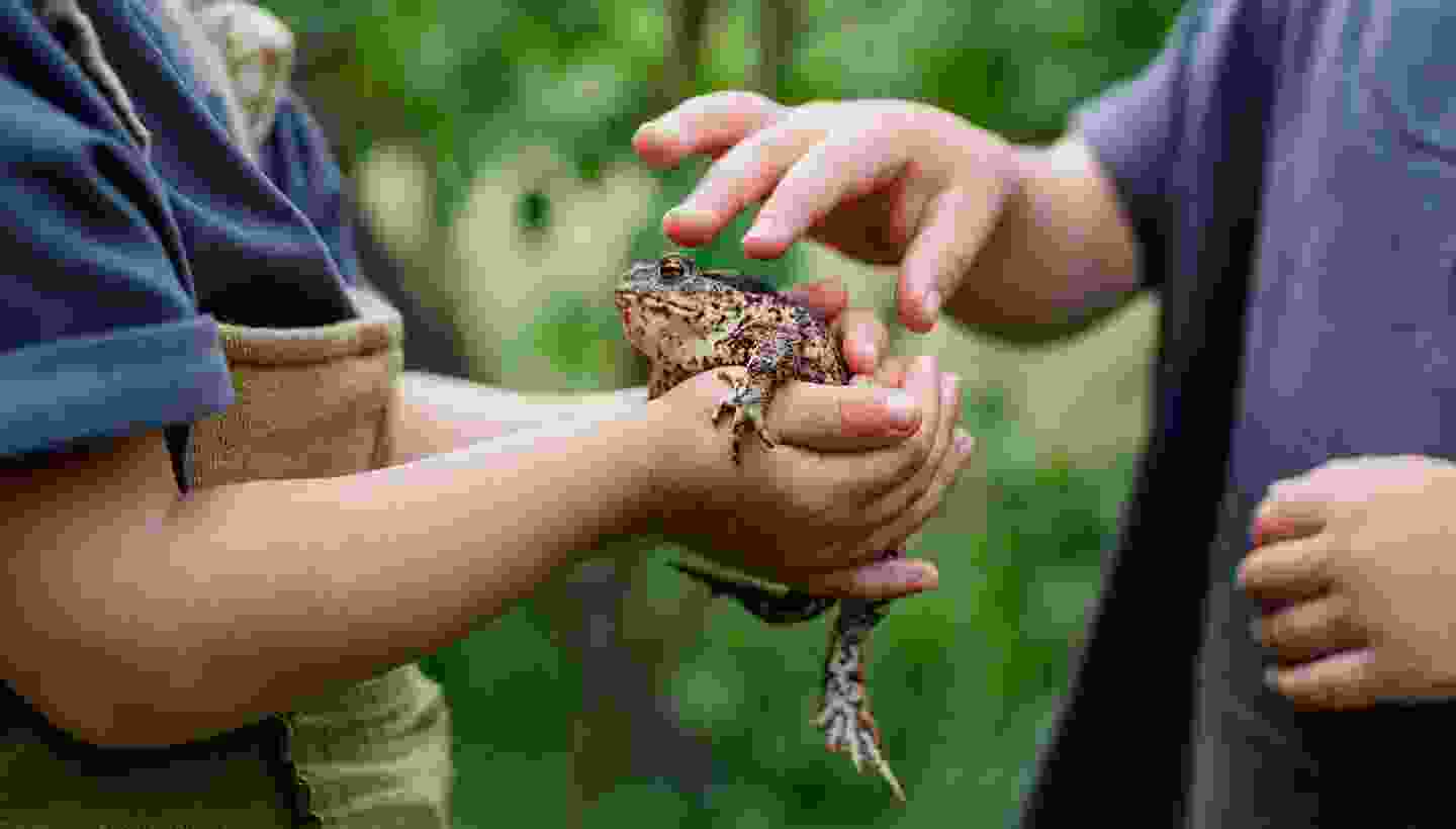 Healthy wildlife species